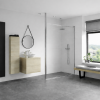 Iconix 500mm 8mm Glass Wetroom Panel & Floor-to-Ceiling Pole - Chrome