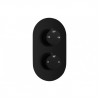 Aurora Thermostatic Two Outlet Twin Shower Valve - Matt Black