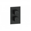 Cosmic Thermostatic Two Outlet Twin Shower Valve - Matt Black