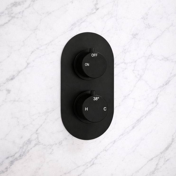 Aurora Thermostatic Single Outlet Twin Shower Valve - Matt Black