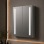 Sakura 500mm 1 Door Front-Lit LED Mirror Cabinet