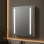 Sakura 600mm 2 Door Front-Lit LED Mirror Cabinet