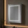 Suki 500mm 1 Door Front-Lit LED Mirror Cabinet