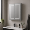 Suki 600mm 2 Door Front-Lit LED Mirror Cabinet