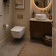 Wall Hung Pan & Seat - Ebzone