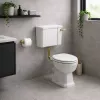 Low Level Cistern  Flush Pipe Kit  Pan & Seat DIPTP0386 Sherbourne Low Level WC & Satin White Wood Effect Seat w/Br.Brass Finishes