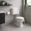 Sherbourne Low Level WC & Satin White Wood Effect Seat w/Br.Brass Finishes