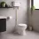 Sherbourne High Level WC & Satin White Wood Effect Seat w/Br.Brass Finishes