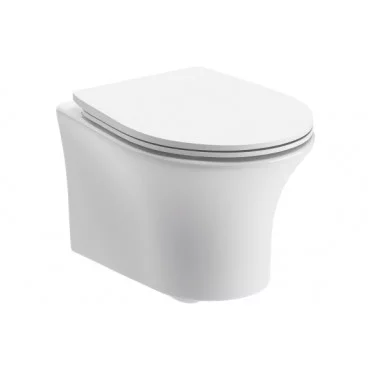 Wall Hung Pan & Seat DIPTP0282 Sandro Rimless Wall Hung WC & Soft Close Seat