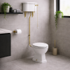 High Level Cistern  Flush Pipe Kit  Pan & Seat DIPTP0384 Sherbourne High Level WC & Satin White Wood Effect Seat w/Br.Brass Finishes
