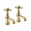 Abode Sentiment Bath Pillar Taps - Brushed Brass