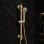 Aurora Round Riser Rail Kit w/Elbow & 3 Mode Handset - Brushed Brass