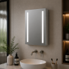 Sakura 500mm 1 Door Front-Lit LED Mirror Cabinet