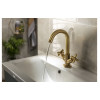 Abode Serenitie Basin Mixer - Antique Brass Bathroom Taps