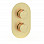 Aurora Thermostatic Two Outlet Twin Shower Valve - Brushed Brass