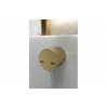 Bath Overflow Filler w/Integrated Valve - Brushed Brass