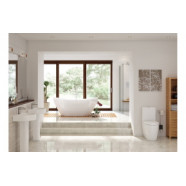 Cilantro Rimless Close Coupled Fully Shrouded WC & Soft Close Seat