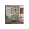 Wall Hung Pan & Seat DIPTP0158 Cilantro Rimless Wall Hung WC & Soft Close Seat