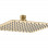 Cosmic 200mm Square Ultraslim Showerhead - Brushed Brass