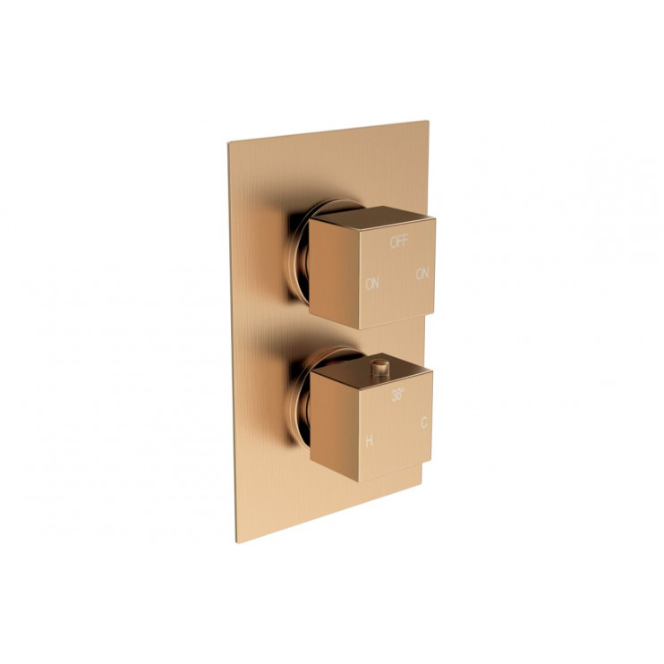 Cosmic Thermostatic Two Outlet Twin Shower Valve - Brushed Bronze