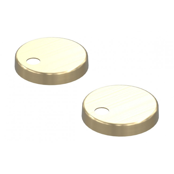 Toilet Seat Cover Caps - Brushed Brass