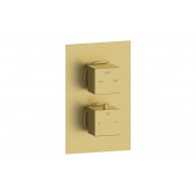 Cosmic Thermostatic Two Outlet Twin Shower Valve - Brushed Brass