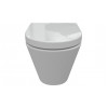 Wall Hung Pan & Seat DIPTP0158 Cilantro Rimless Wall Hung WC & Soft Close Seat