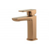 Berio Cloakroom Basin Mixer & Waste - Brushed Bronze