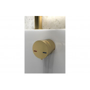 Bath Overflow Filler w/Integrated Valve - Brushed Brass