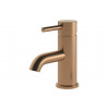 Pescara Basin Mixer & Waste - Brushed Bronze