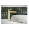 Roda Basin Mixer & Waste - Brushed Brass Bathroom Taps