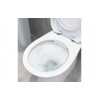 Sandro Rimless Back To Wall WC & Soft Close Seat