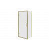 Classix 900mm x 6mm Glass Pivot Door - Brushed Brass