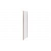Classix 900mm x 6mm Glass Side Panel - Brushed Brass